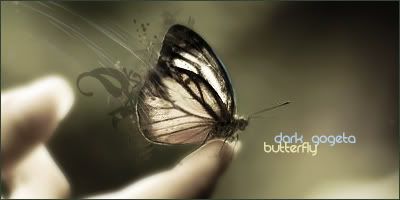 [Imagine: butterfly.jpg]