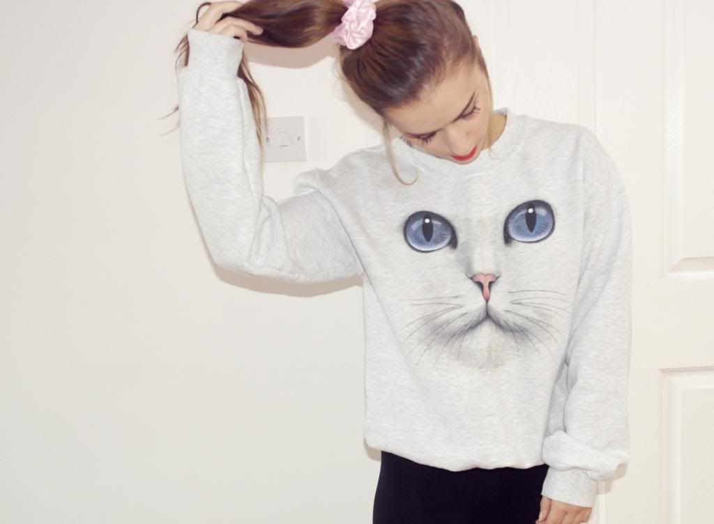 photo skip-and-whistle-cat-jumper-2jpg.jpg