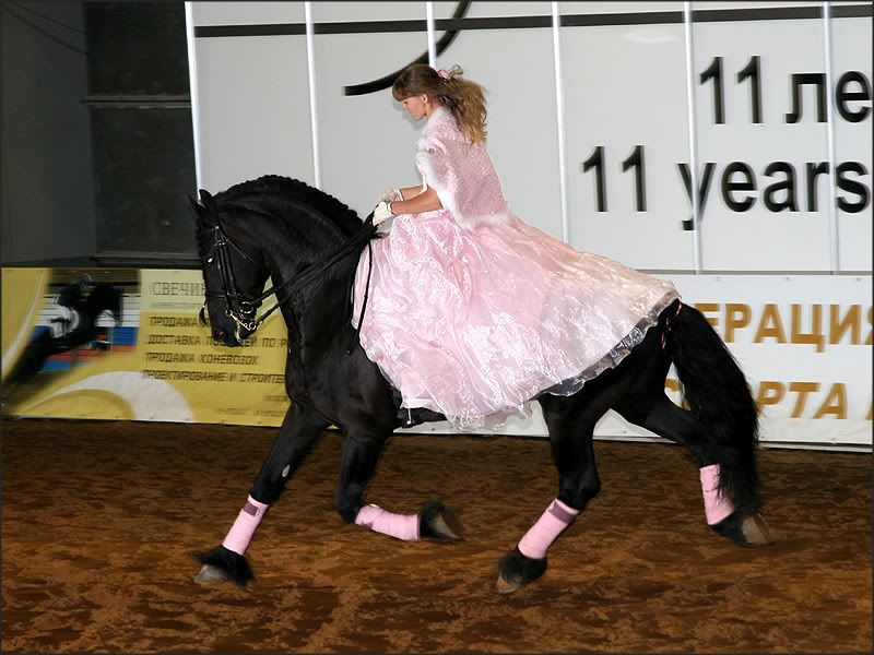 equiros26.jpg