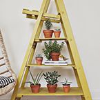 Ladder Display Makeover