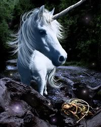 The White Guardian Unicorn and Fairy by Susan Schroder