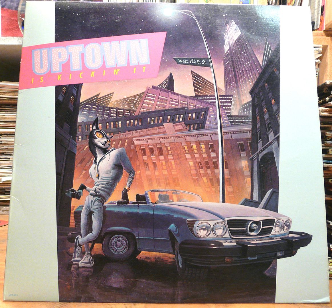  photo P1240262_zps189be3e4.jpg