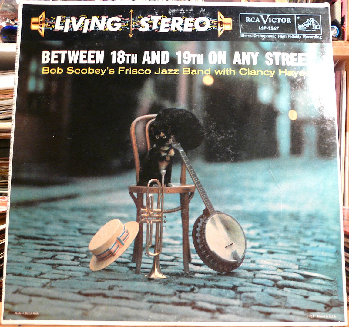  photo P1250279_zps362a1386.jpg