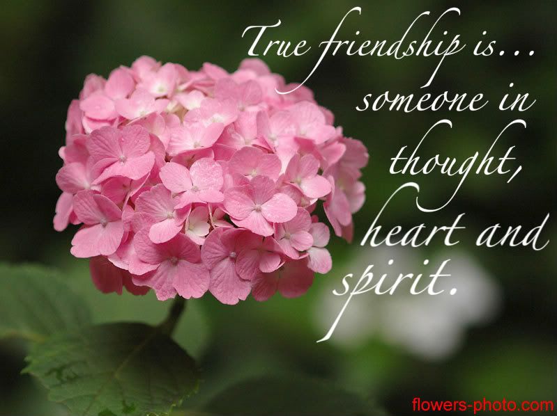 true friendship Pictures, Images and Photos