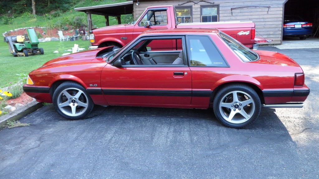 Ford Racing Springs Ford Mustang Forums