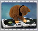 Dj Cat