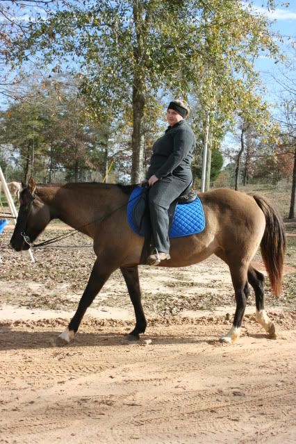 horsepics003.jpg