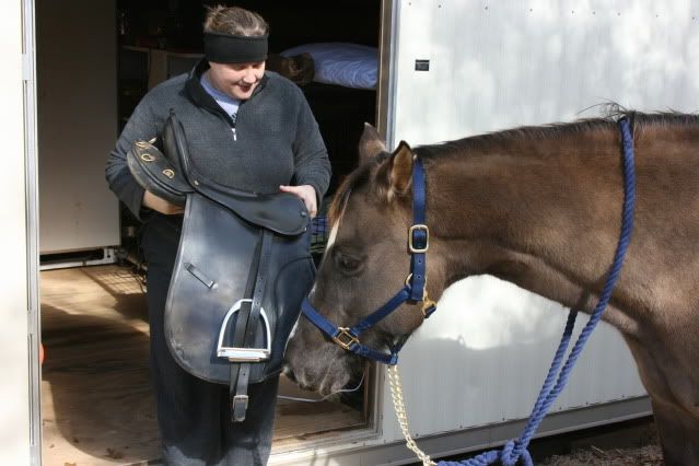 horsepics010.jpg
