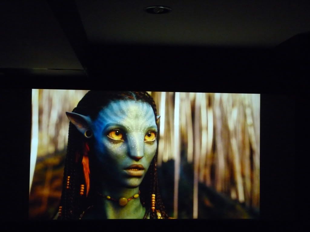 avatar_br2.jpg