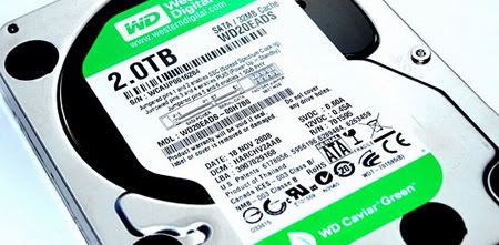 wd20eads-2tb-hd-label_450pxcopy.jpg