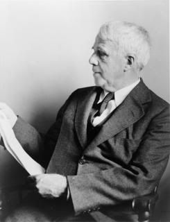 Robert_Frost_NYWTS.jpg picture by insightoutside