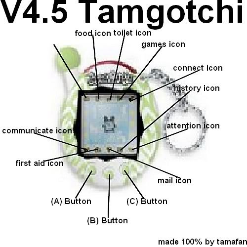 craigslist n carolina raleigh: tamagotchi shop codes v4 5