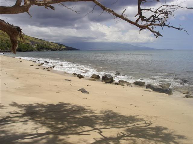 Maui2006002Small.jpg