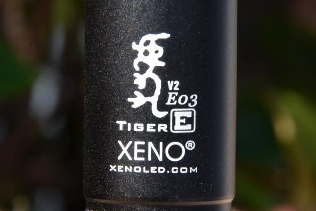 XenoE03013.jpg