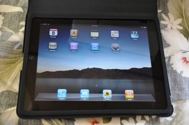 iPad006.jpg