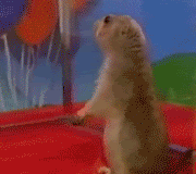 1187725892213.gif