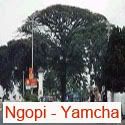 ngopi&yamcha