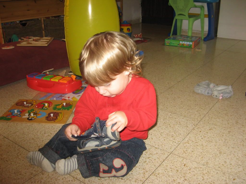 IMG_0585.jpg picture by keshetbanan