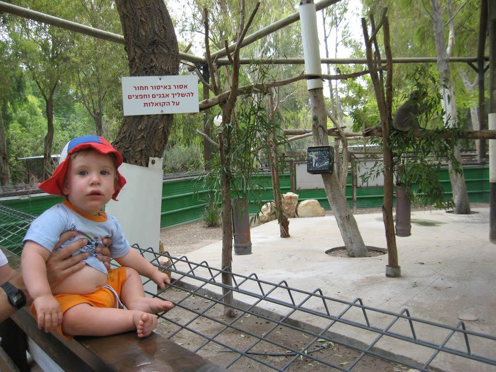 IMG_1133.jpg picture by keshetbanan