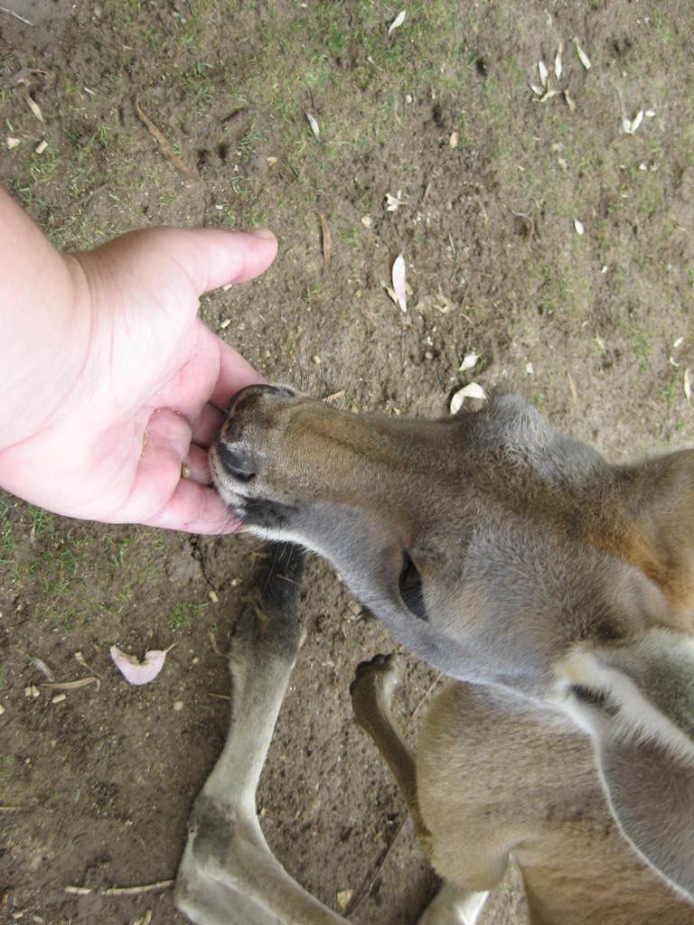 IMG_1141.jpg picture by keshetbanan