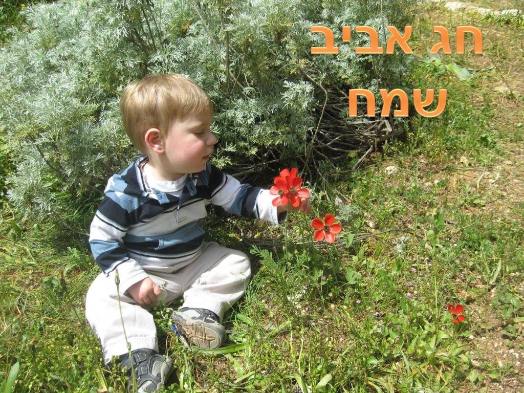spring.jpg picture by keshetbanan