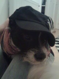 Bild00302.jpg
