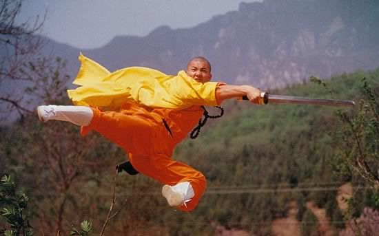 shaolin ninja