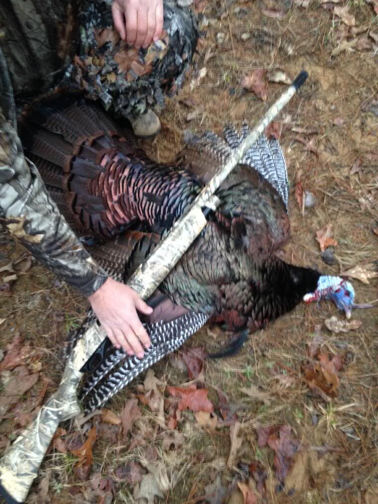 2014 Dead Turkeys - Page 3 - Mississippi Hunting and Fishing Forums