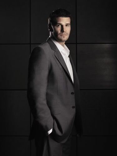 David Boreanaz Seeley Booth