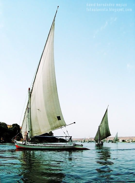 Barcas de vela en el río Nilo, Egipto Velas en el río