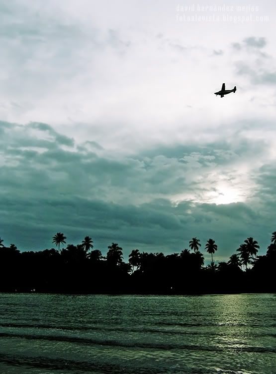 Una avioneta sobrevuela al atardecer el espacio selvático de Tortuguero (Costa Rica) El vuelo de la avioneta