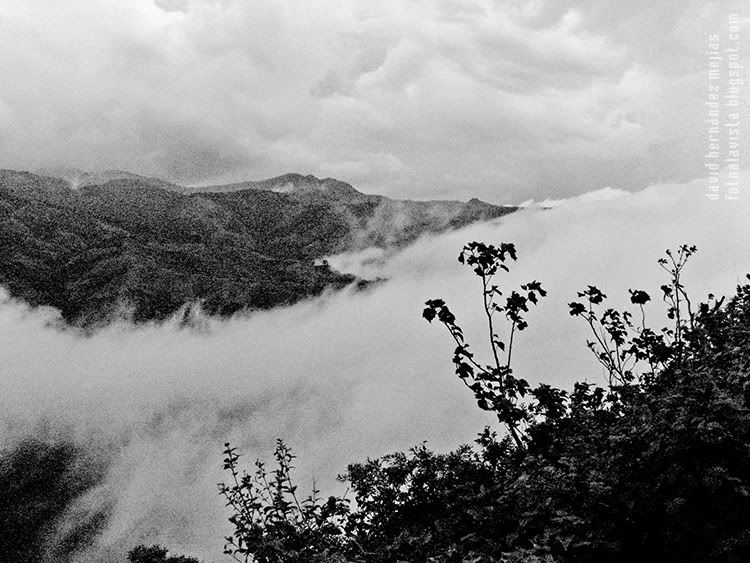 Vista de las cumbres borrascosas del bosque húmedo de Monte Verde, Costa Rica Cumbres borrascosas