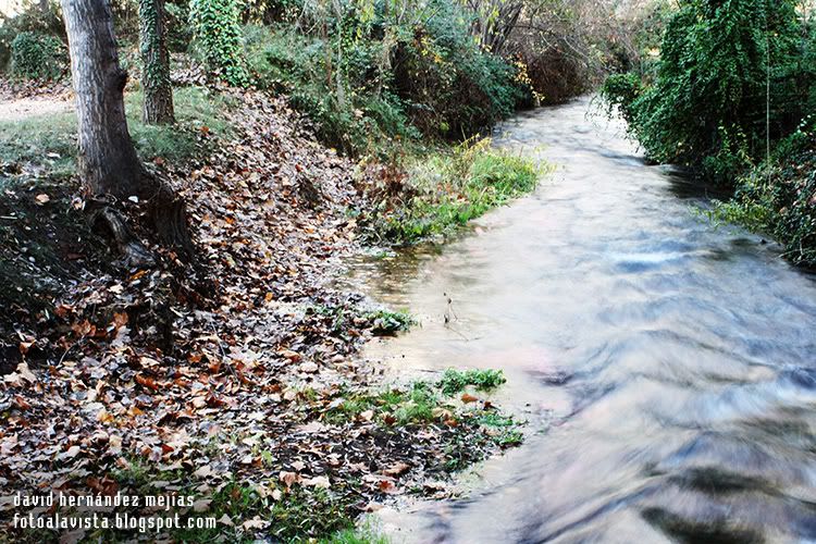 Paisaje otoñal con río fluyendo, con una velocidad de obturación lenta, en Jaraba, Zaragoza Río que sube o baja