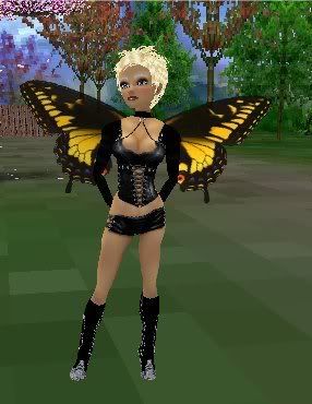 Butterfly Wings-front