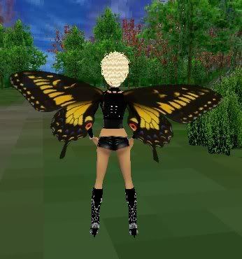 Butterfly Wings-back