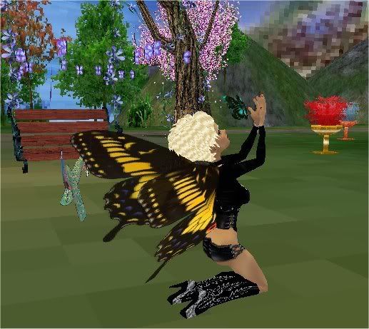 Butterfly Release2