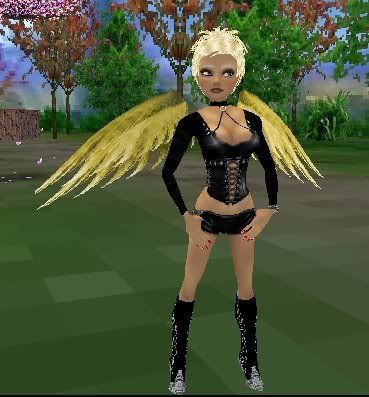 Gold Wings2