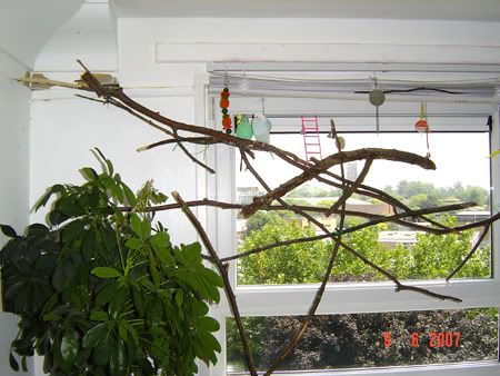 Livingroomhome-1.jpg