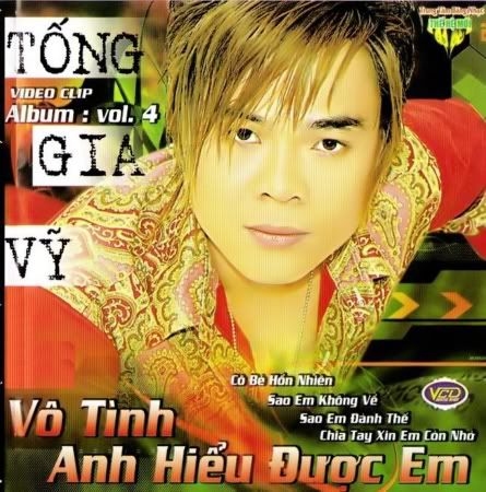 TongGiaVy-VoTinhAnhHieuDuocEmA.jpg