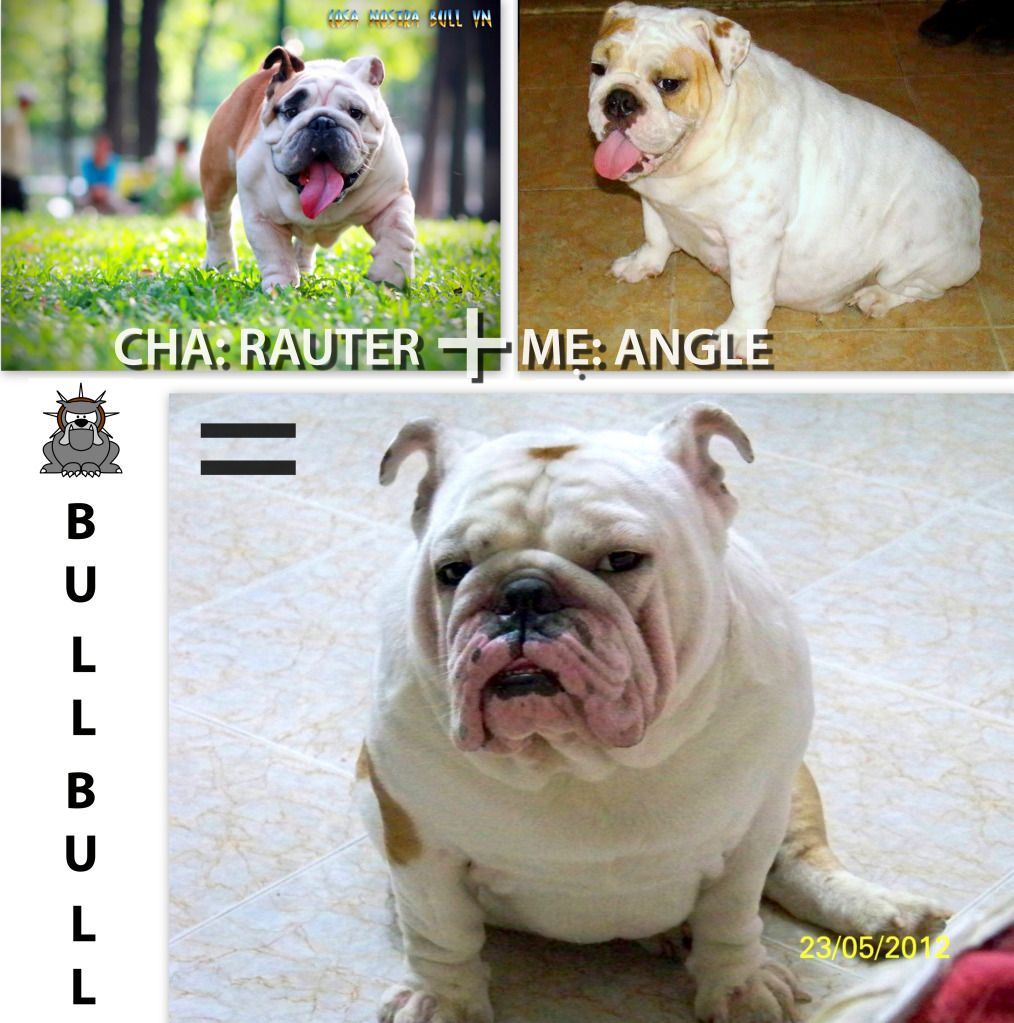 anh em biết photoshop thì giúp dùm