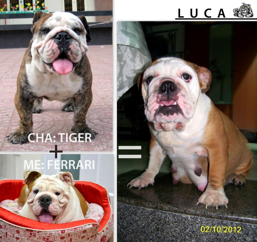 anh em biết photoshop thì giúp dùm