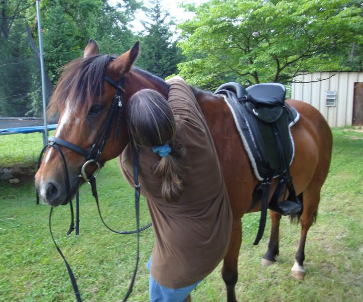 Pony+Torture Pony torture (with pics) in General Discussion (Horse Related) Forum