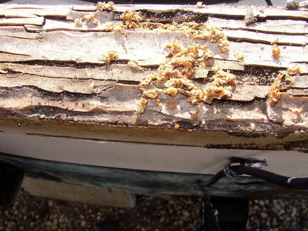 May52007023.jpg
