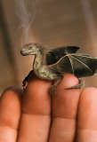 Dragon Breeding Help