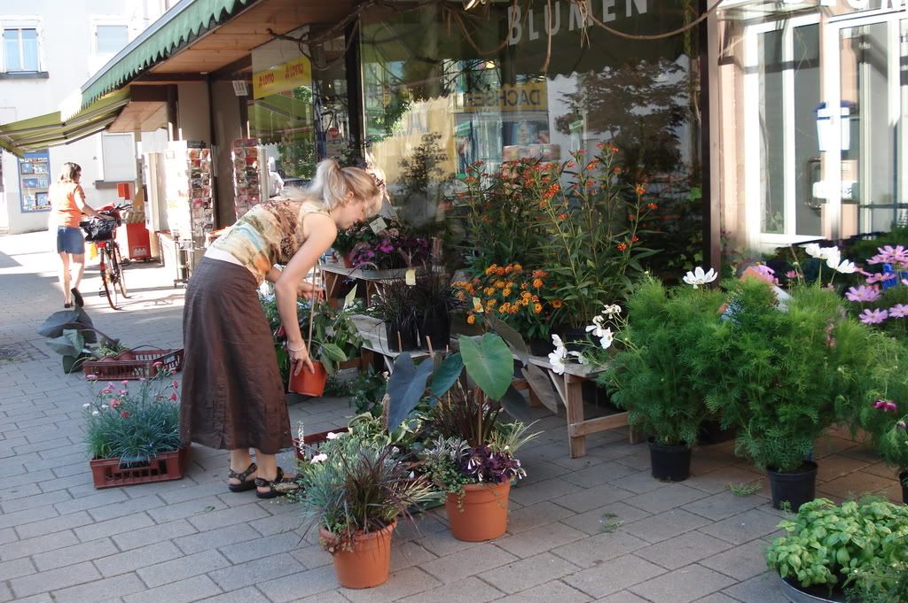 FLOWER SHOP photo DSC01074.jpg