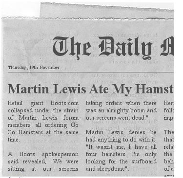 dailyhamster.jpg