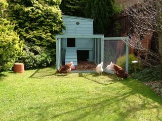 henhouseandbathroom058-1.jpg