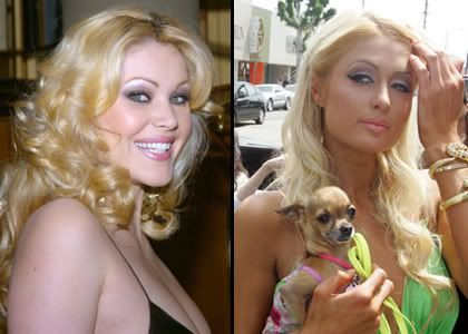 Paris Hilton's private contact details were posted on rival Shanna Moakler's 