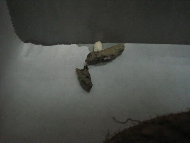 Picture002-2.jpg