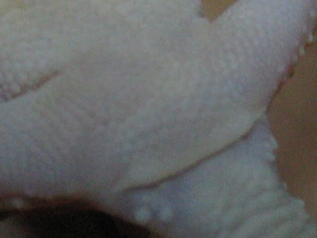 Picture003.jpg